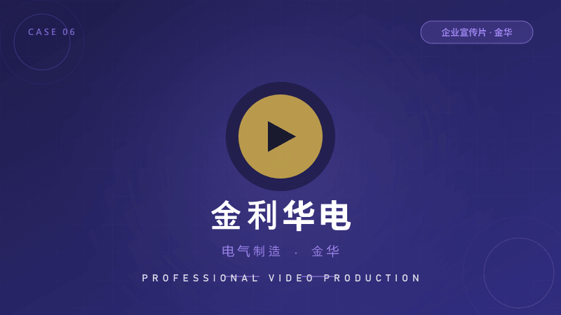 金华企业宣传片：金利华电